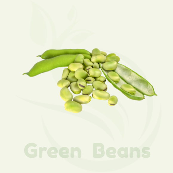 Frozen Green Broad Beans